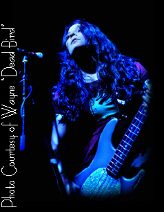 Mandy Reed-Leinenweber